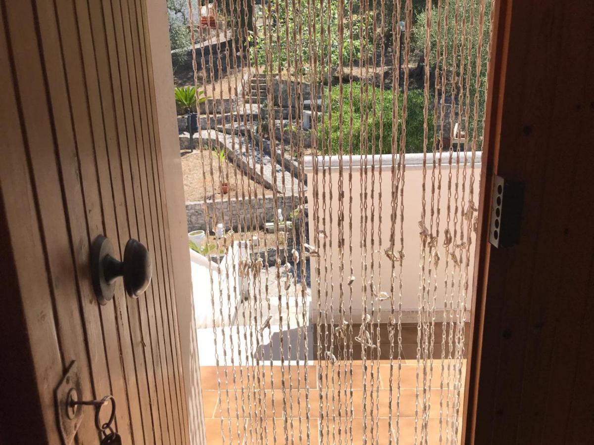 סן מנאיו Villa Pineta מראה חיצוני תמונה