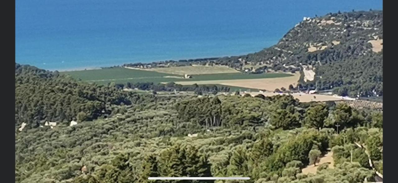 סן מנאיו Villa Pineta מראה חיצוני תמונה
