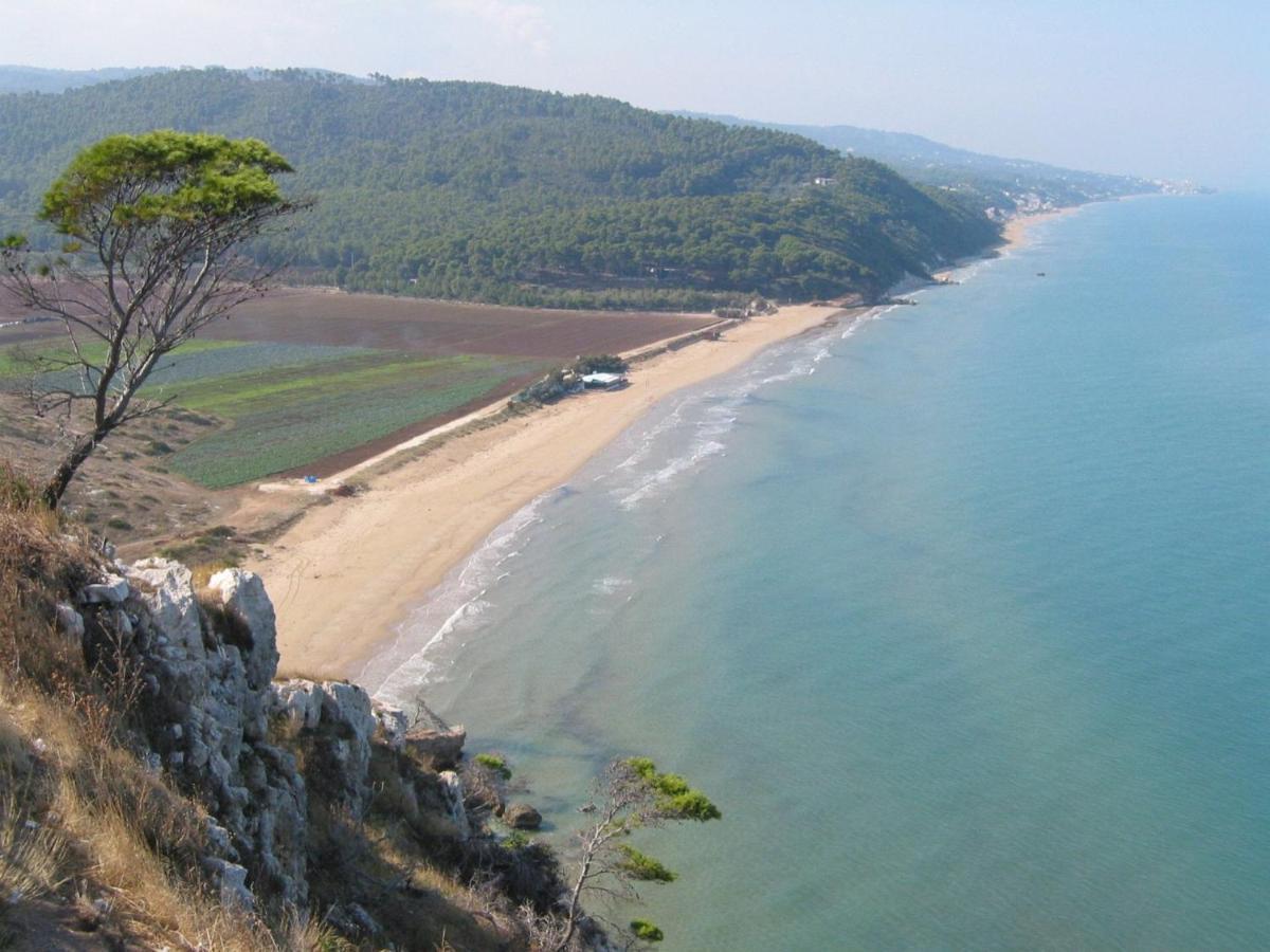 סן מנאיו Villa Pineta מראה חיצוני תמונה