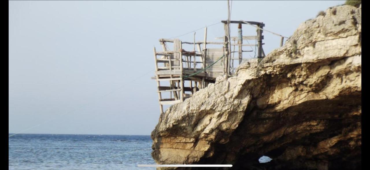 סן מנאיו Villa Pineta מראה חיצוני תמונה